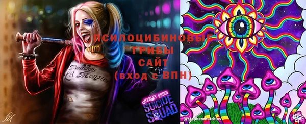 спайс Каменногорск