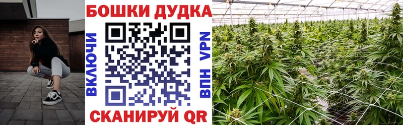 Марихуана индика  Оленегорск 